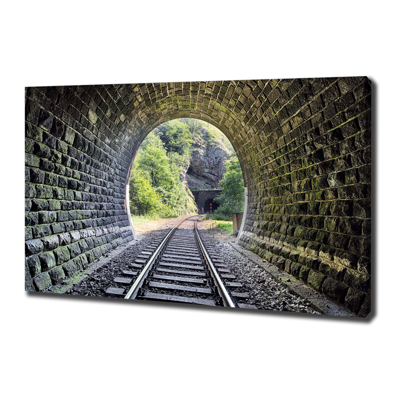 

Foto obraz na płótnie Tunel kolejowy 100x70 cm
