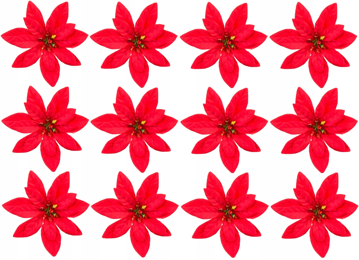 

Czerwona Gwiazda Betlejemska 8 CM Poinsecja 12 Szt