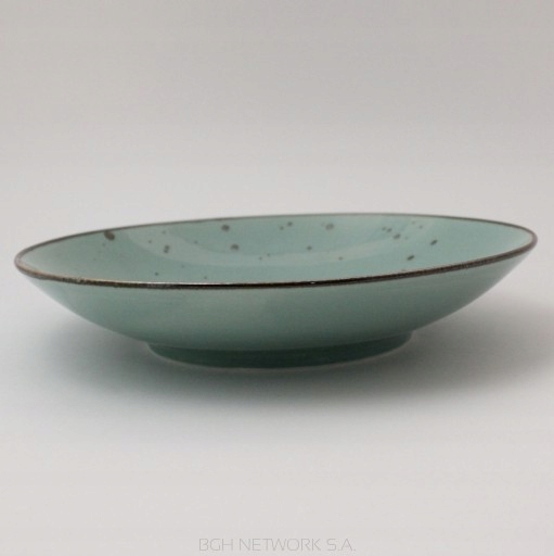 BOGUCICE ALUMINA COTTAGE WZÓR TIFFANY TALERZ GŁĘBO Marka Bogucice