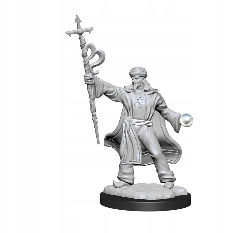 Nolzur's Marvelous Miniatures Human Wizard Male