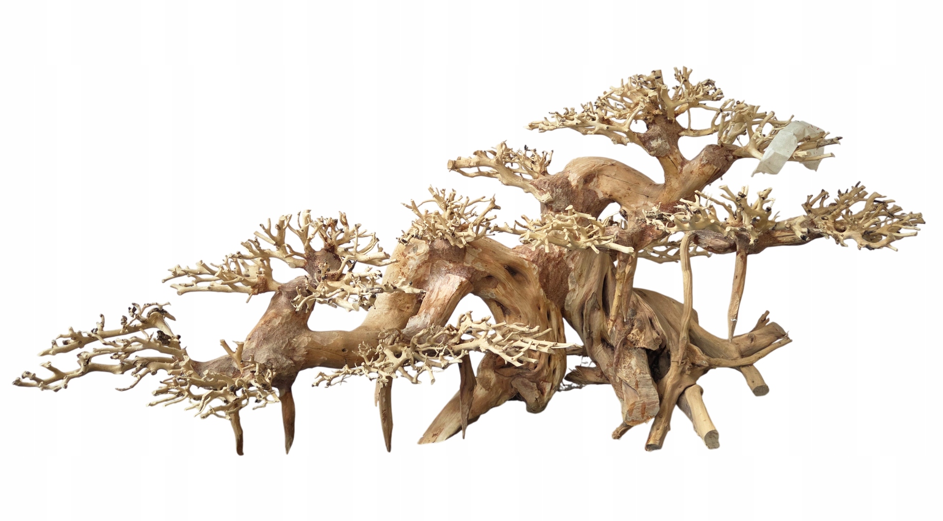 Levně Velký Stromek Bonsai Do Akvária dekorace driftwood Handmade 80x34x40 cm L