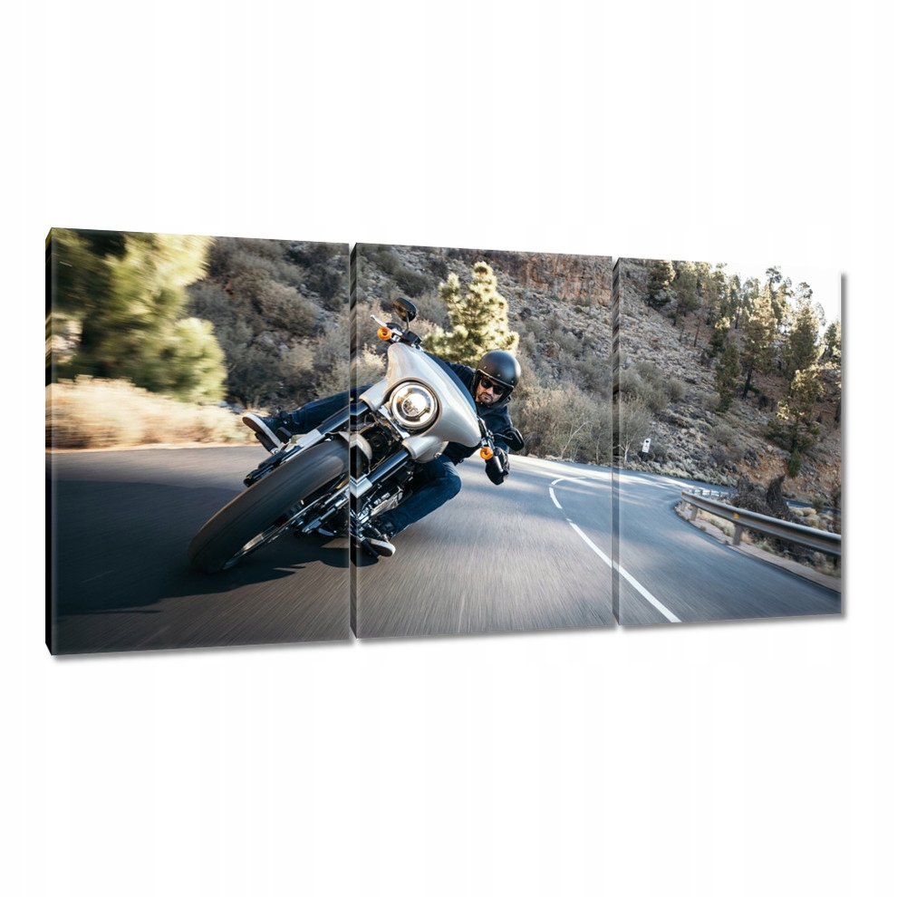 

Obrazy 120x60 Harley Davidson Motocykl
