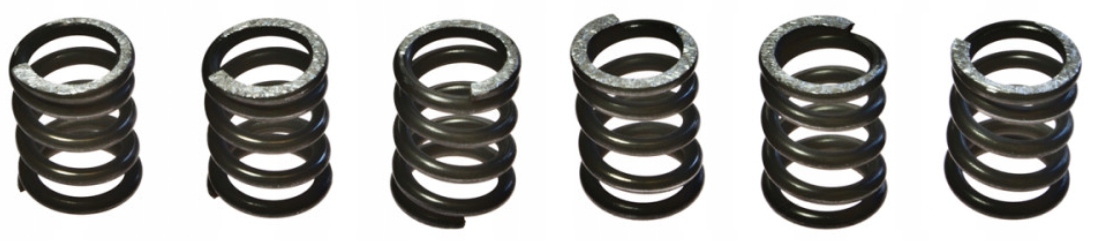 Spojkové pružiny Suzuki Tl 1000 R S 98-00