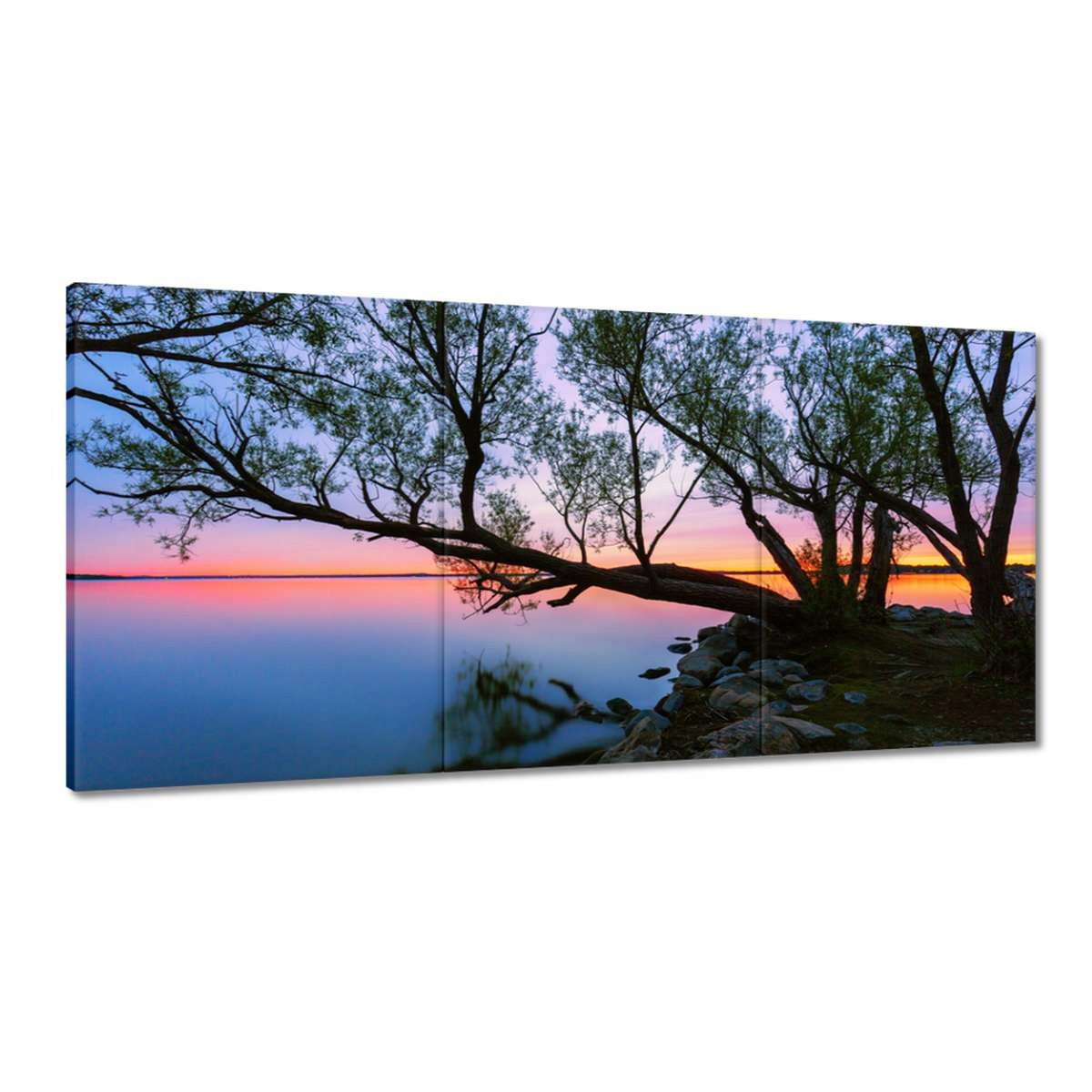 Obrazy 120x60 Skály Strom Jezero