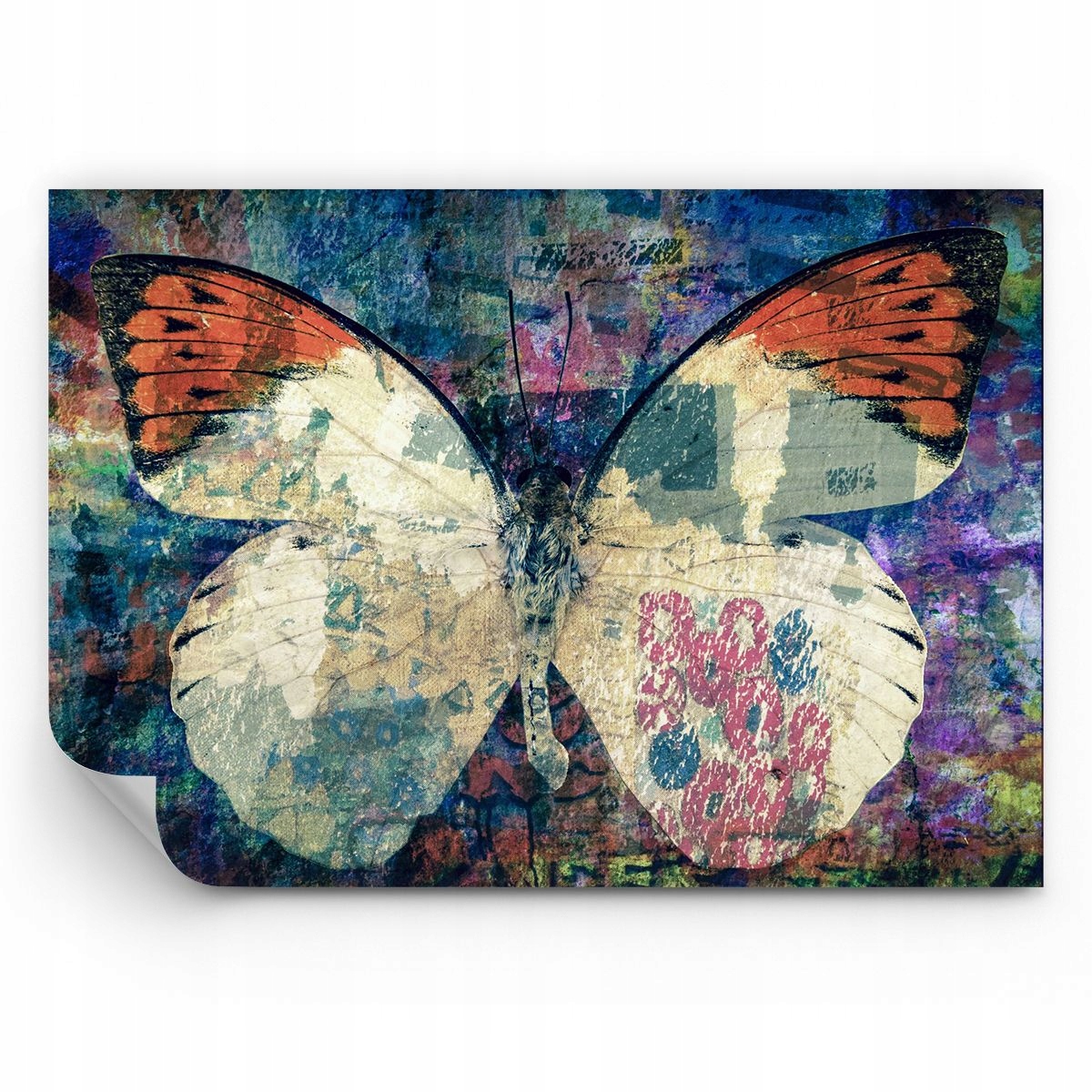 Fototapeta Motyl Tapeta Na Ścianę Do Sypialni Salonu 300x210 Ps