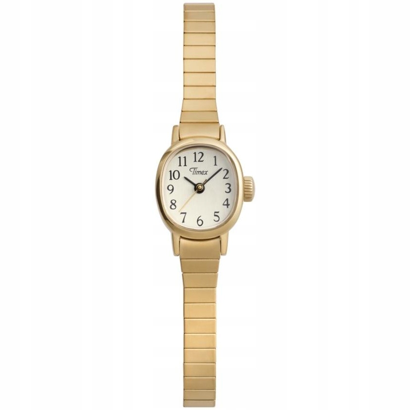 Dámské hodinky Timex TW2Y47400 zlaté