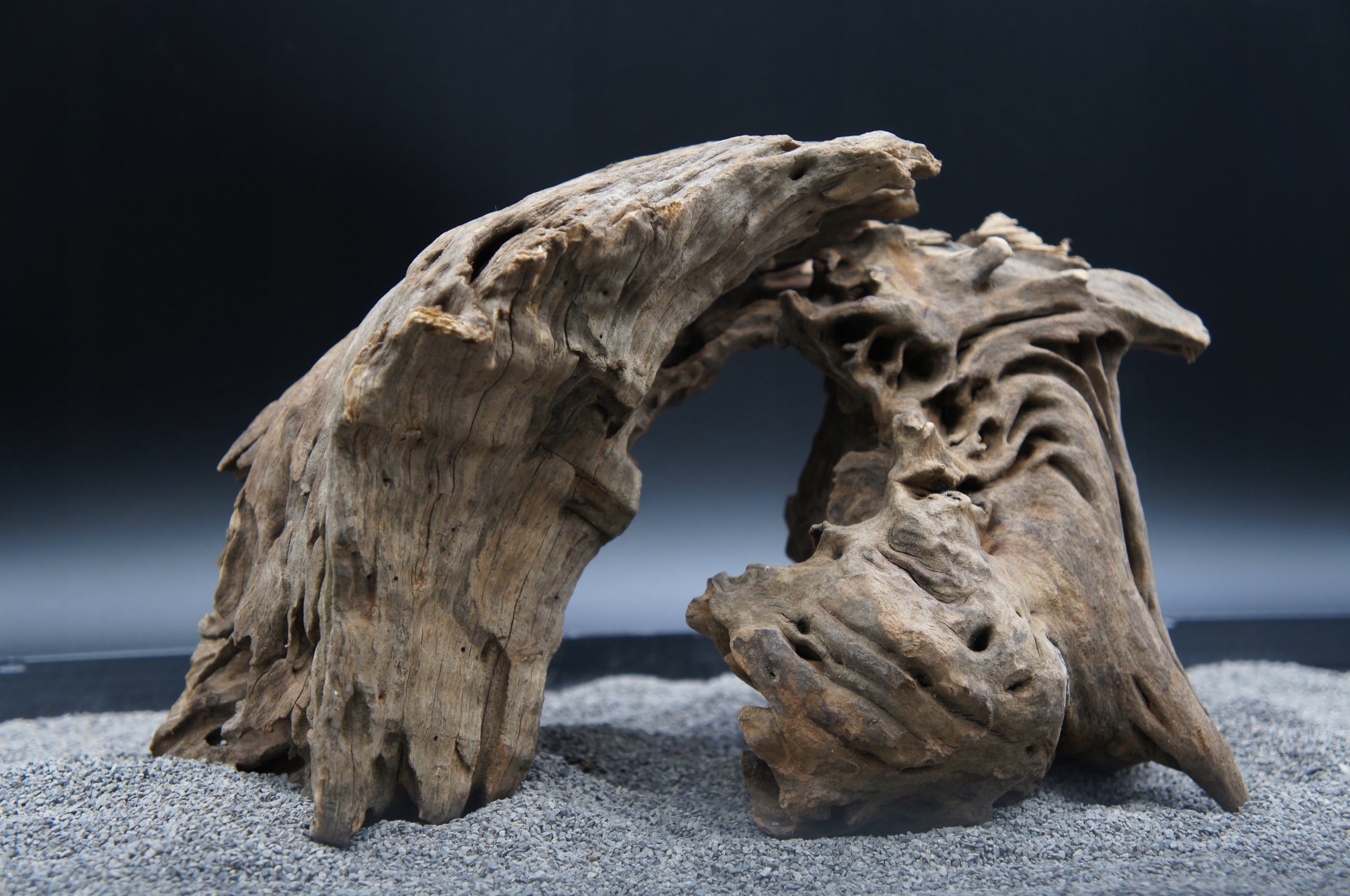 Levně Kořeny pro terarijní akvárium Jagged Wood Set Jako Na Obrázku (J27)