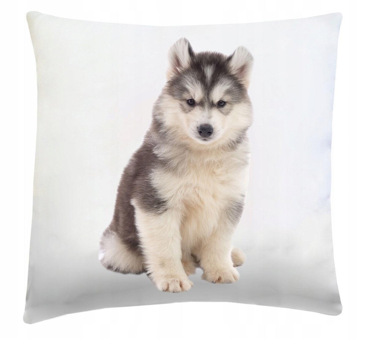 Poduszka dekoracyjna 40x40 wz. Husky