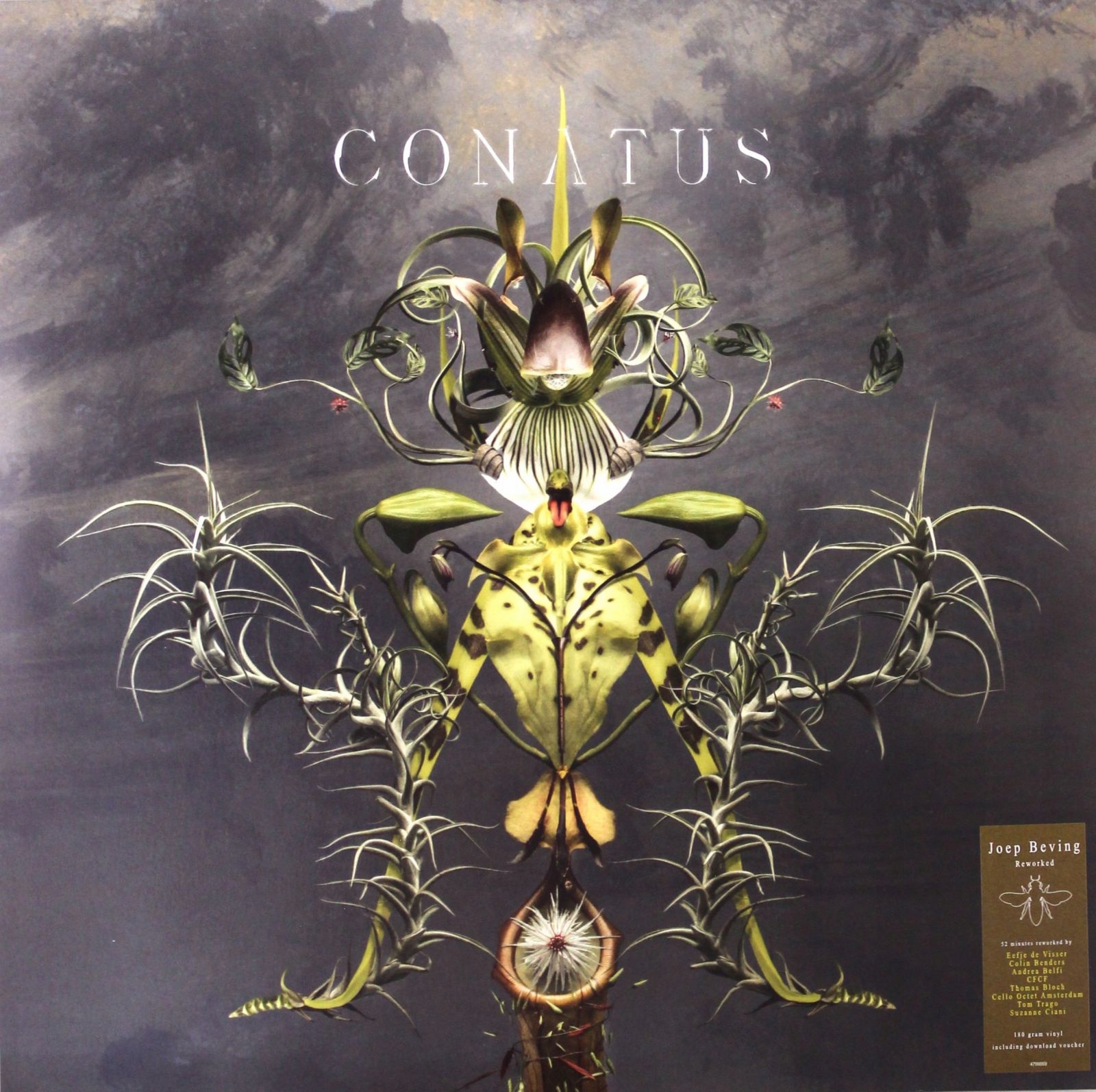 Joep Beving: Conatus [2XWINYL]