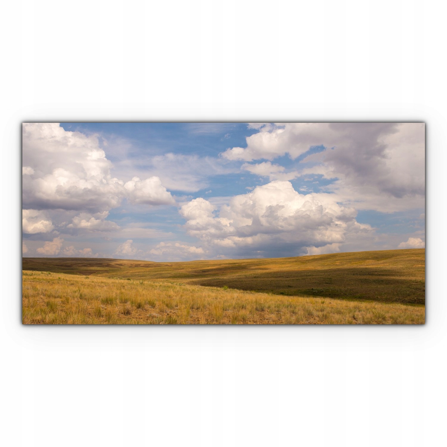 

Obraz płótno canvas 140x70 Pole Trawy Łąka Natura