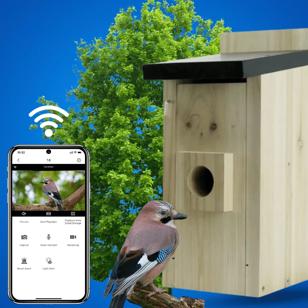 BOT BH1 išmani paukščių lesyklėlė su kamera Full HD 1080p, Wi-Fi, su AI paukščių atpažinimu nuotrauka 7