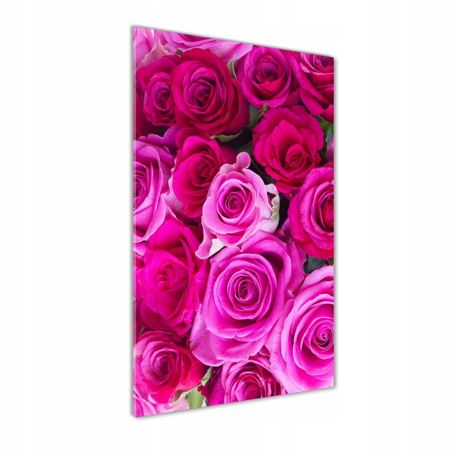 Fotoobraz tvrzené sklo Růžové růže 50x100 cm