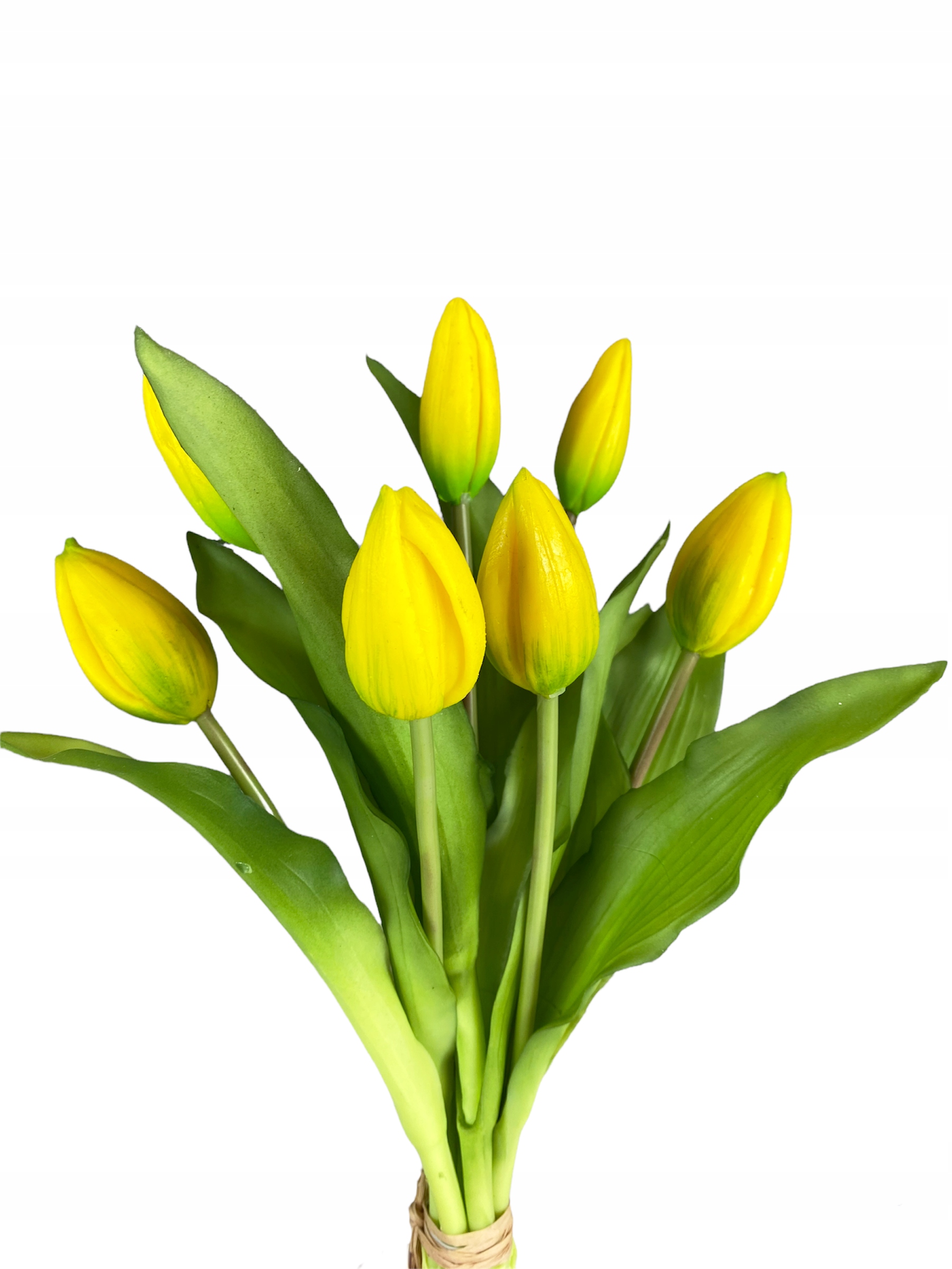 

Bukiet Tulipanów 7szt Tulipany Gumowane Żółte