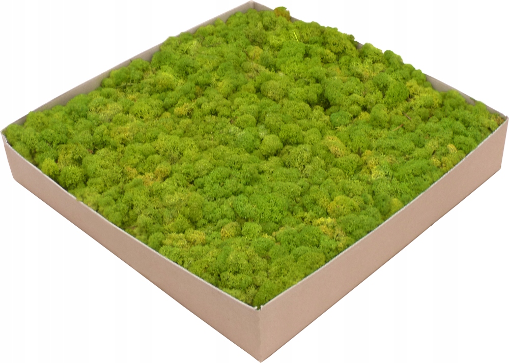 Mech Chrobotek Premium Lime Green Karton 3kg