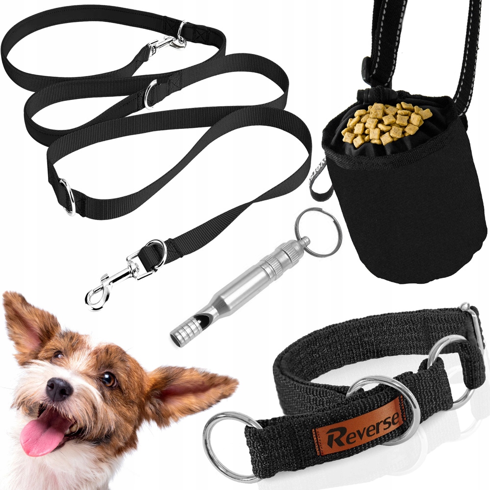Levně Sada Pro Výcvik Psa Vodítko Přepínací Obojek Sáček Na Pamlsky Píšťalka