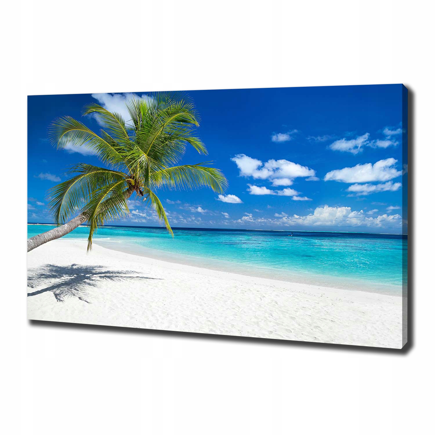

Foto obraz na płótnie Tropikalna plaża 100x70 cm