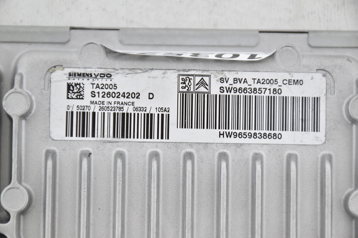 computer Motore CITROEN PEUGEOT S126024202D