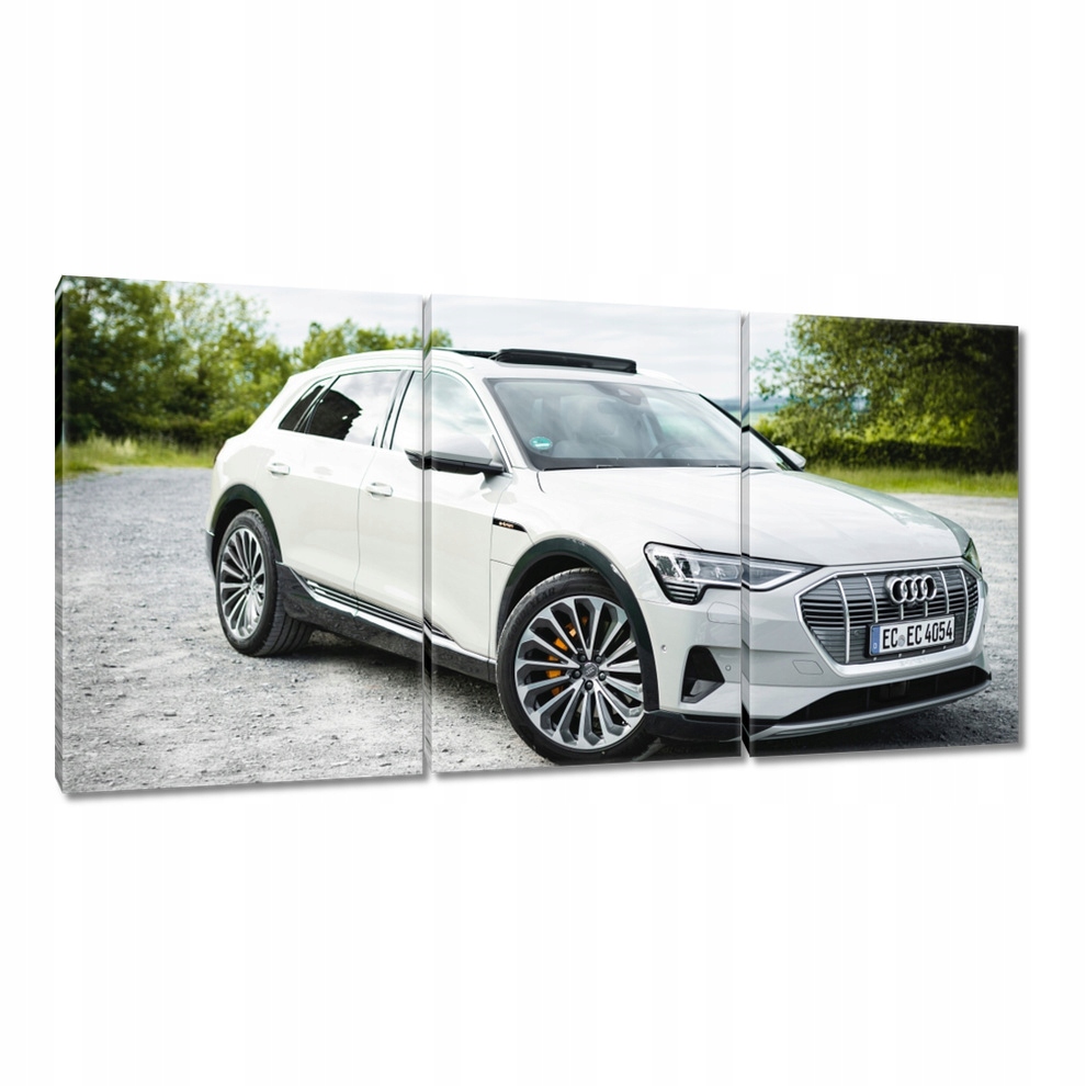 

Obrazy 120x60 Audi Piękne samochody