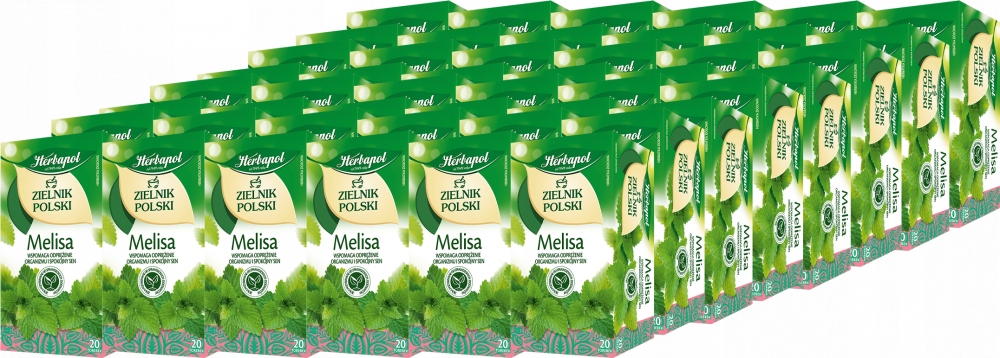 Zielnik Polski Melisa Herbapol 40 g x60