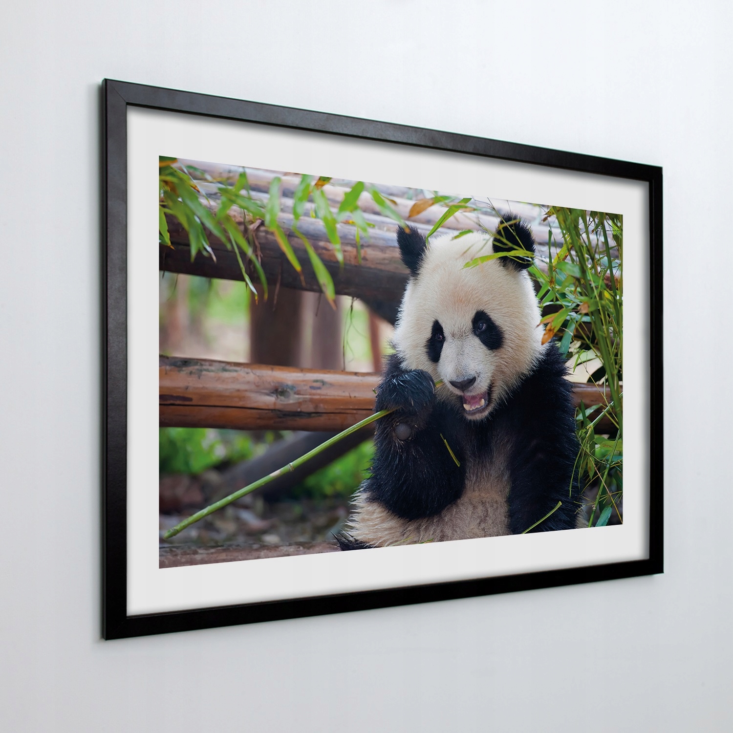 Obraz v ráme na stenu Panda bambusové drevo 100x70