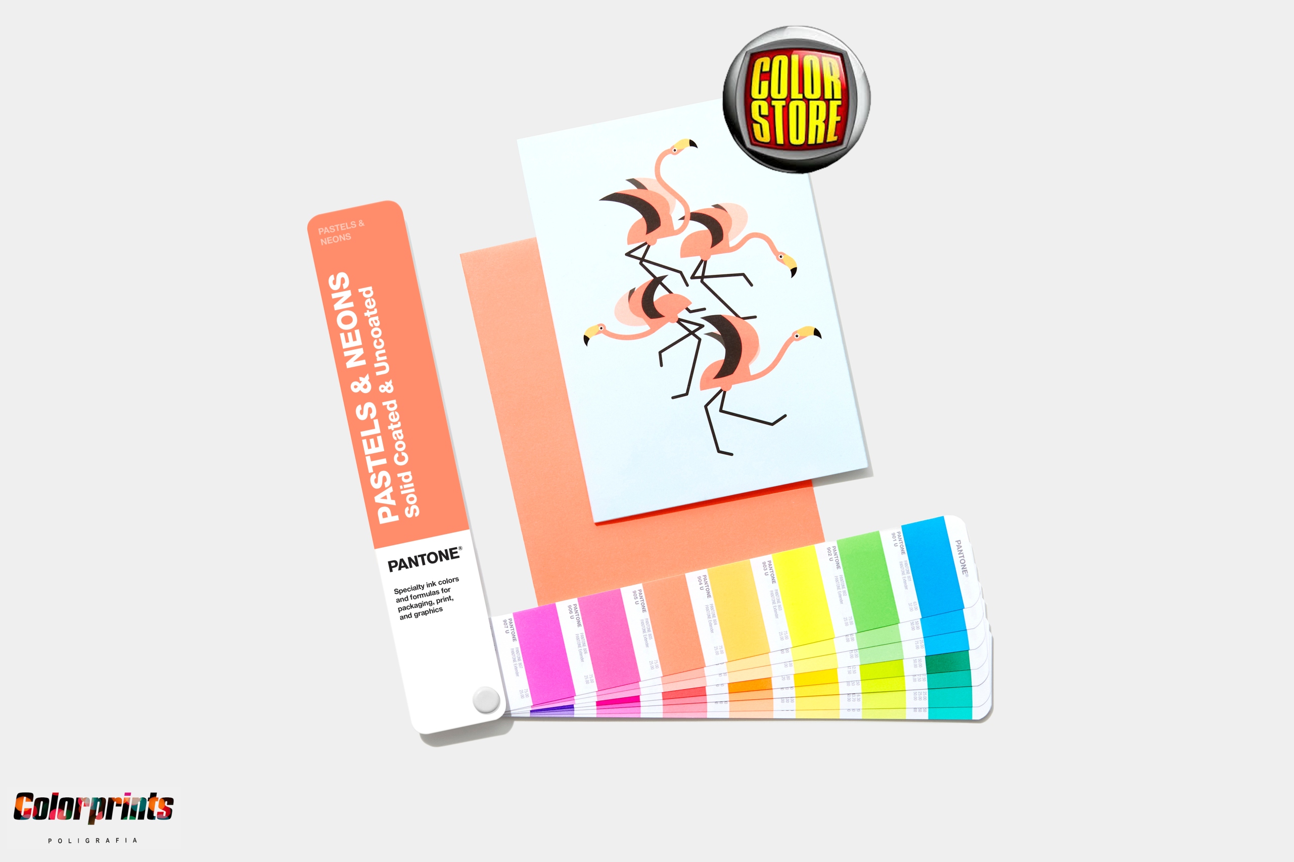 Wzornik PANTONE Pastels and Neons