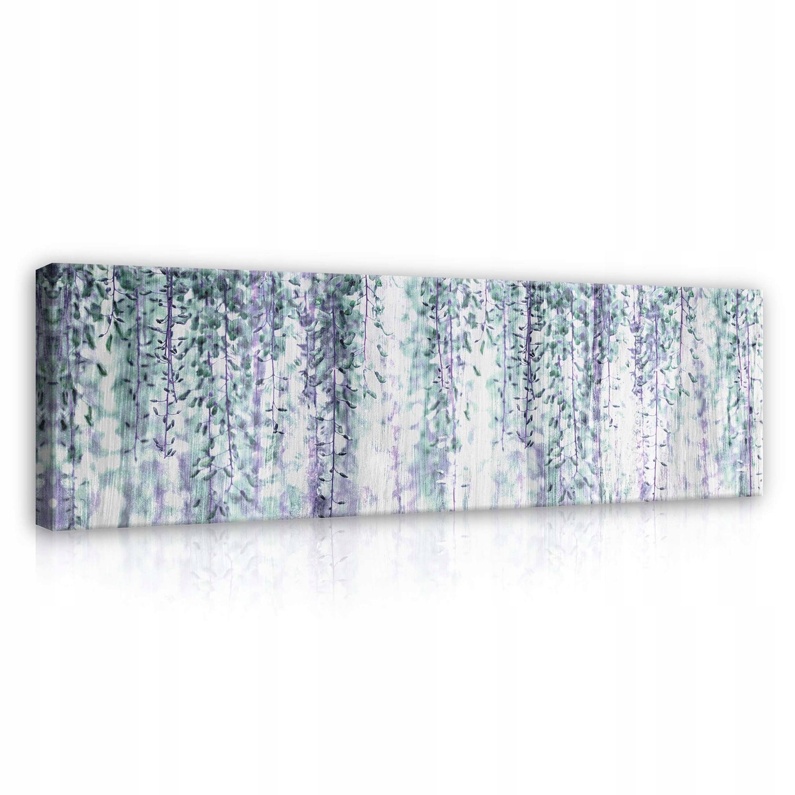 Obraz 145x45 Glycin kvetení květiny příroda fialová jaro pastelový