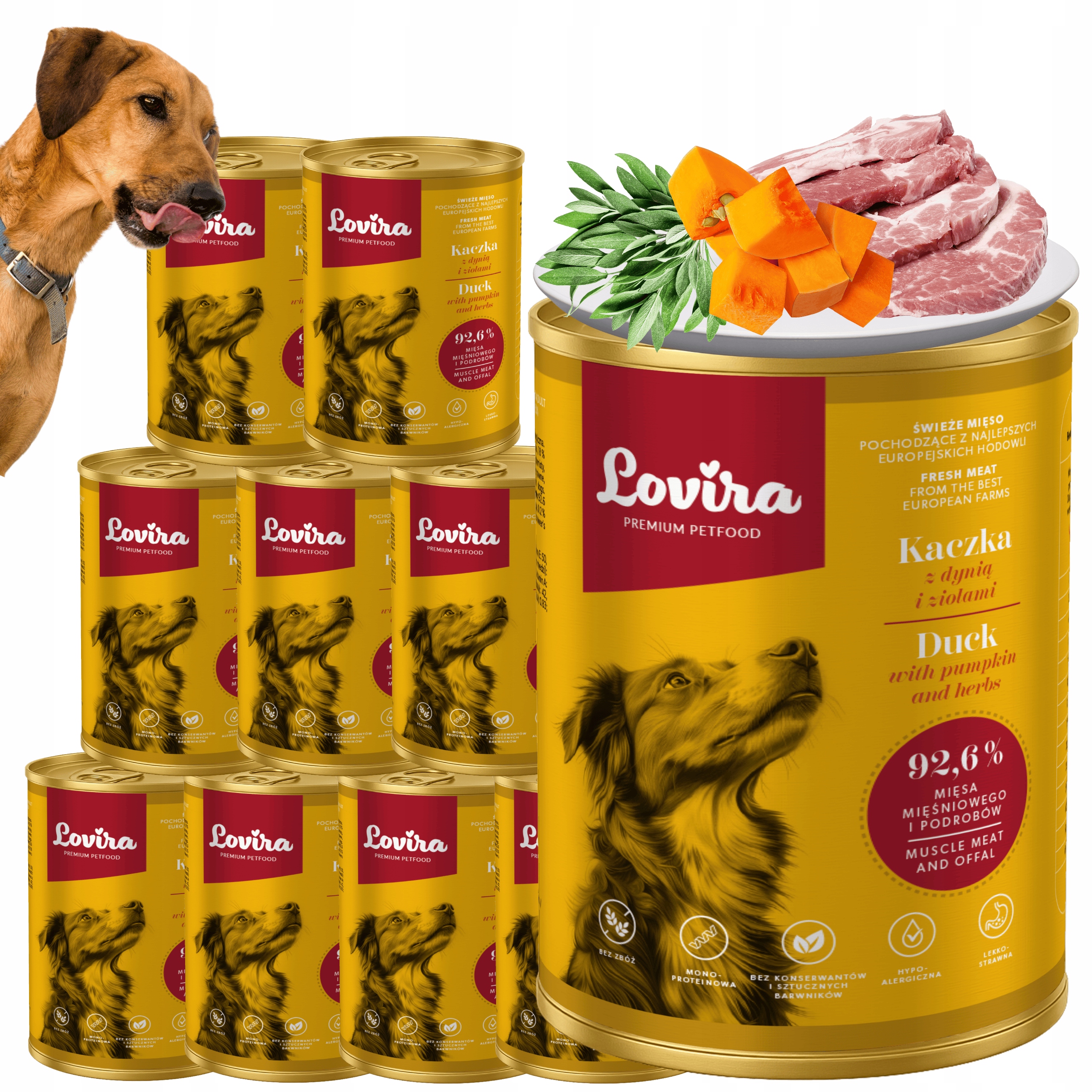 Levně Set 10xKrmivo pro psy Kachna 96,2 s dýní a bylinkami, hypoalergenní