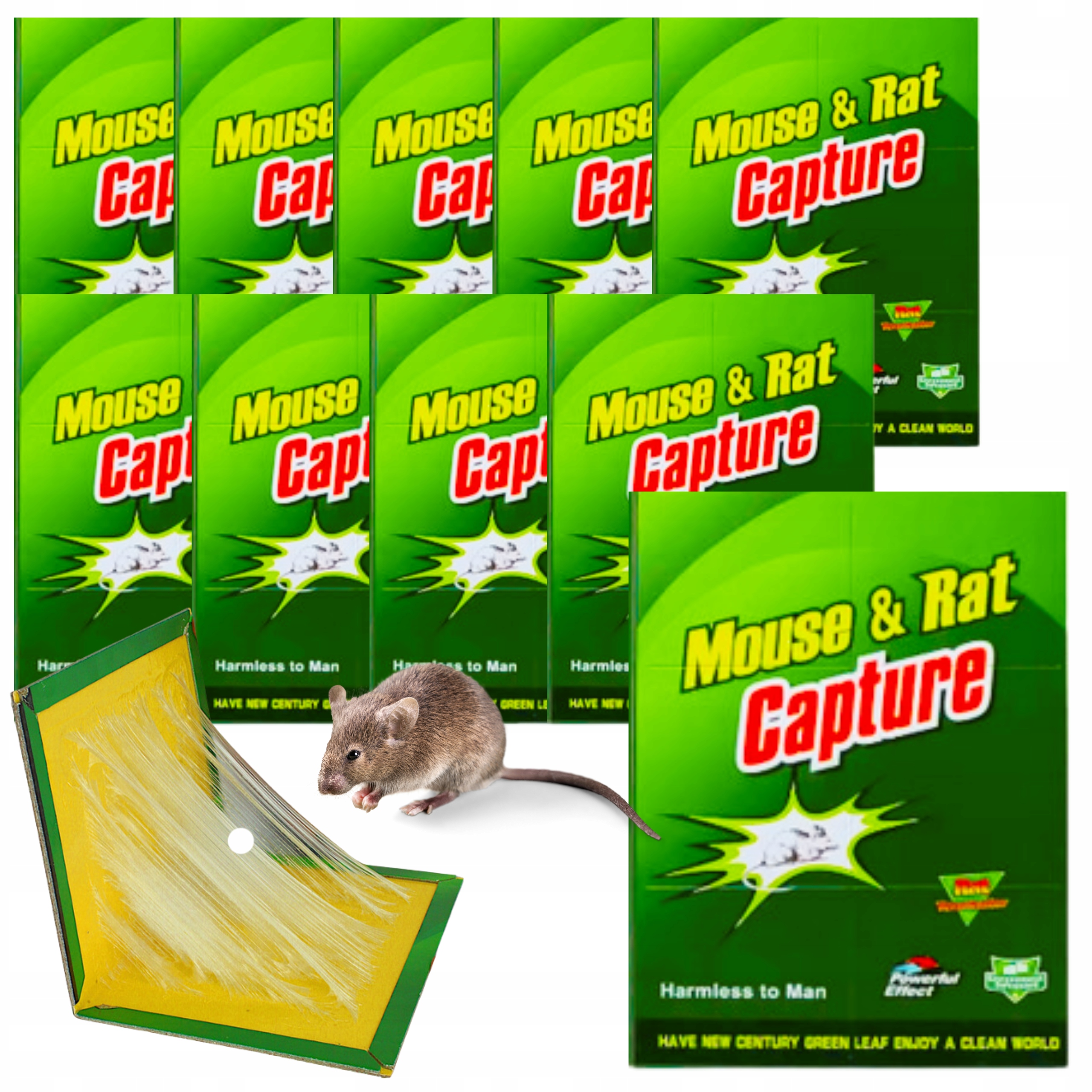 10x PUŁAPKA NA MYSZY SZCZURY MYSZOŁAPKA SILNY KLEJ LEP AROMAT MOCNA ŁAPKA