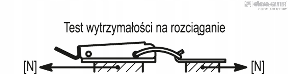 Zapięcia Elesa+Ganter TLE.Z-15/52+R Marka inny