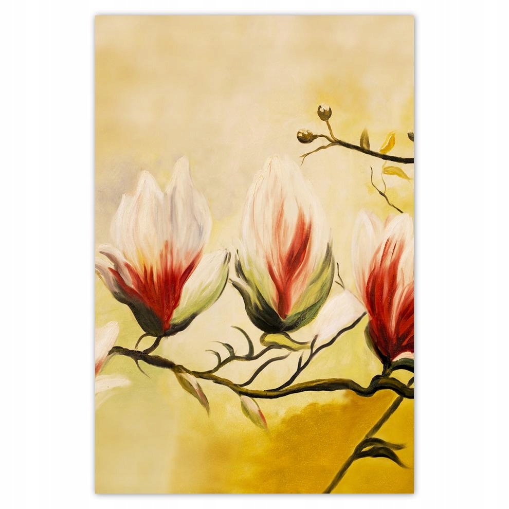 

Plakaty 40x60 Magnolie