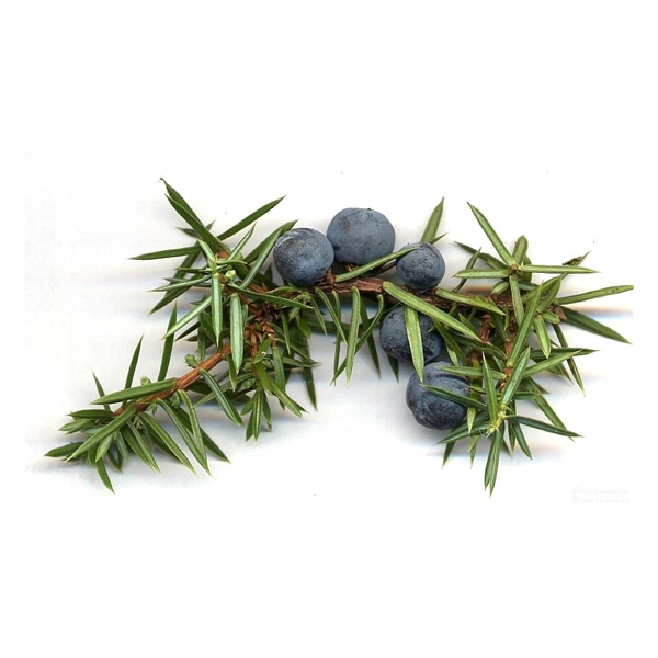 SÓL EPSOM DO KĄPIELI STÓP Z OLEJKIEM JAŁOWCOWYM Marka Vitafarm