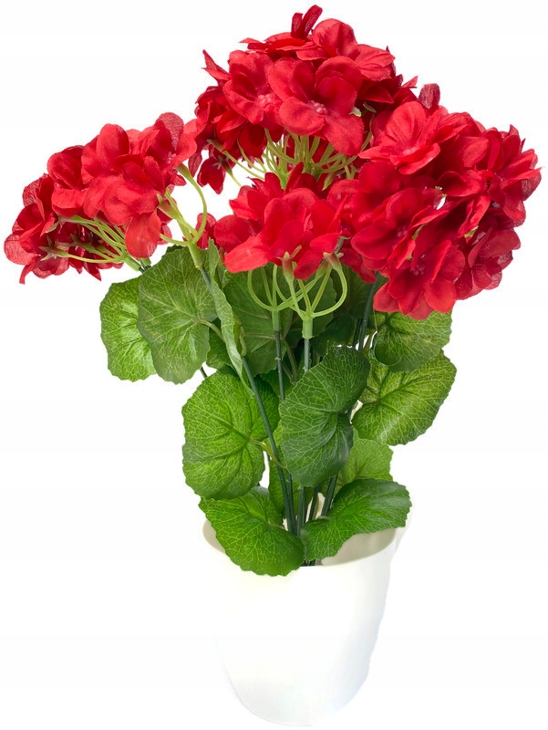 

Doniczka Pelargonia Bukiet Ozdoba kwiat sztuczny