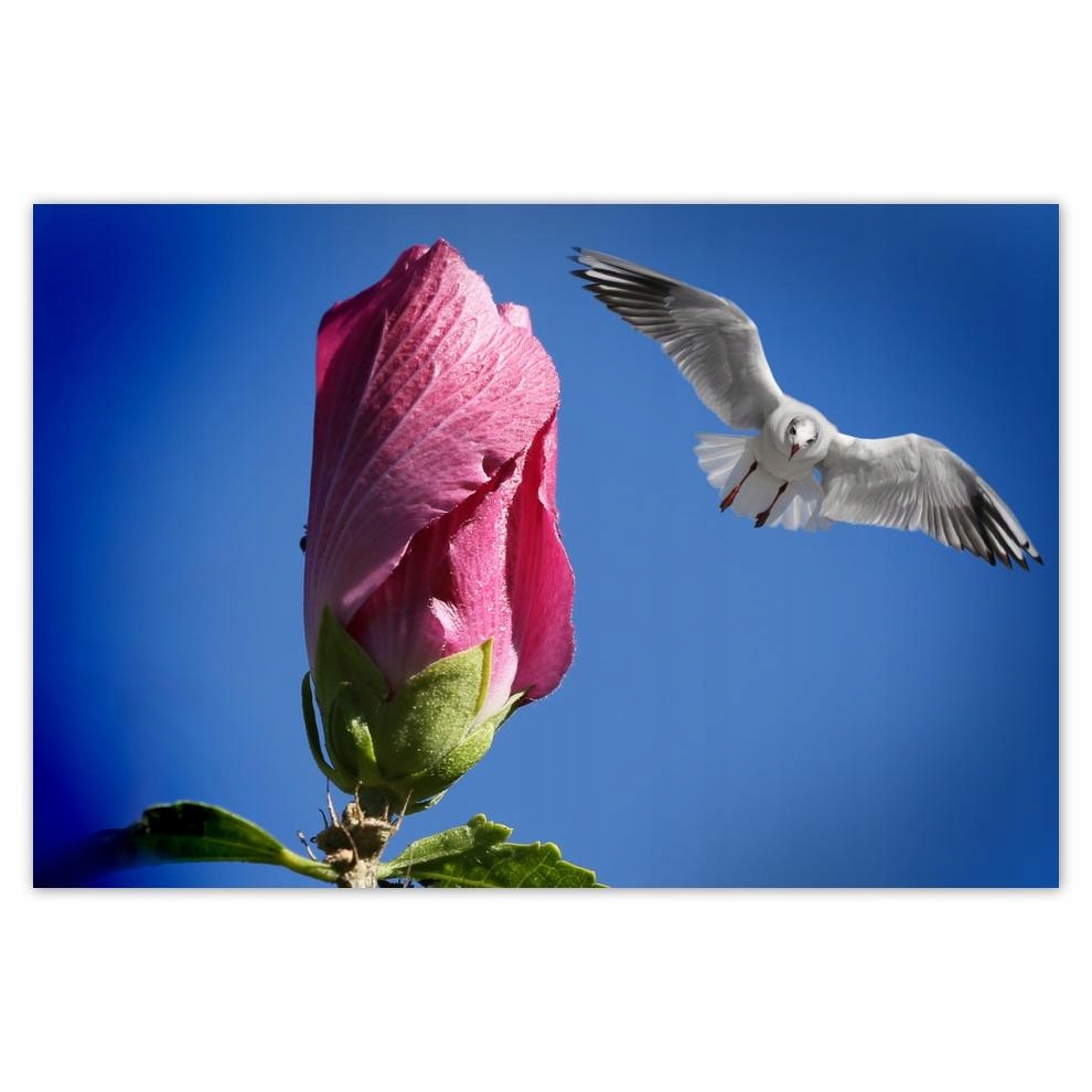 

Plakat 93x62 Nalot