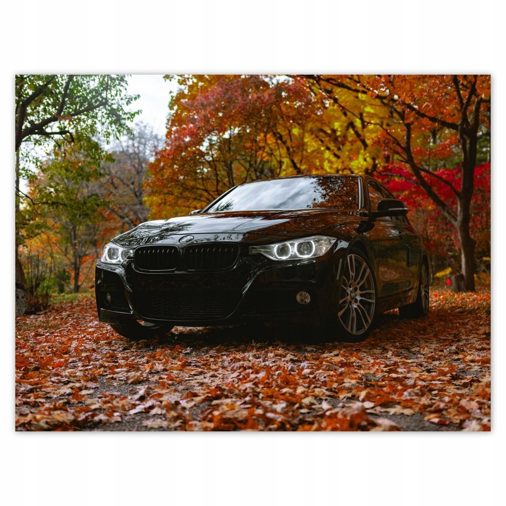 

Plakat 40x30 Czarne Bmw Jesień