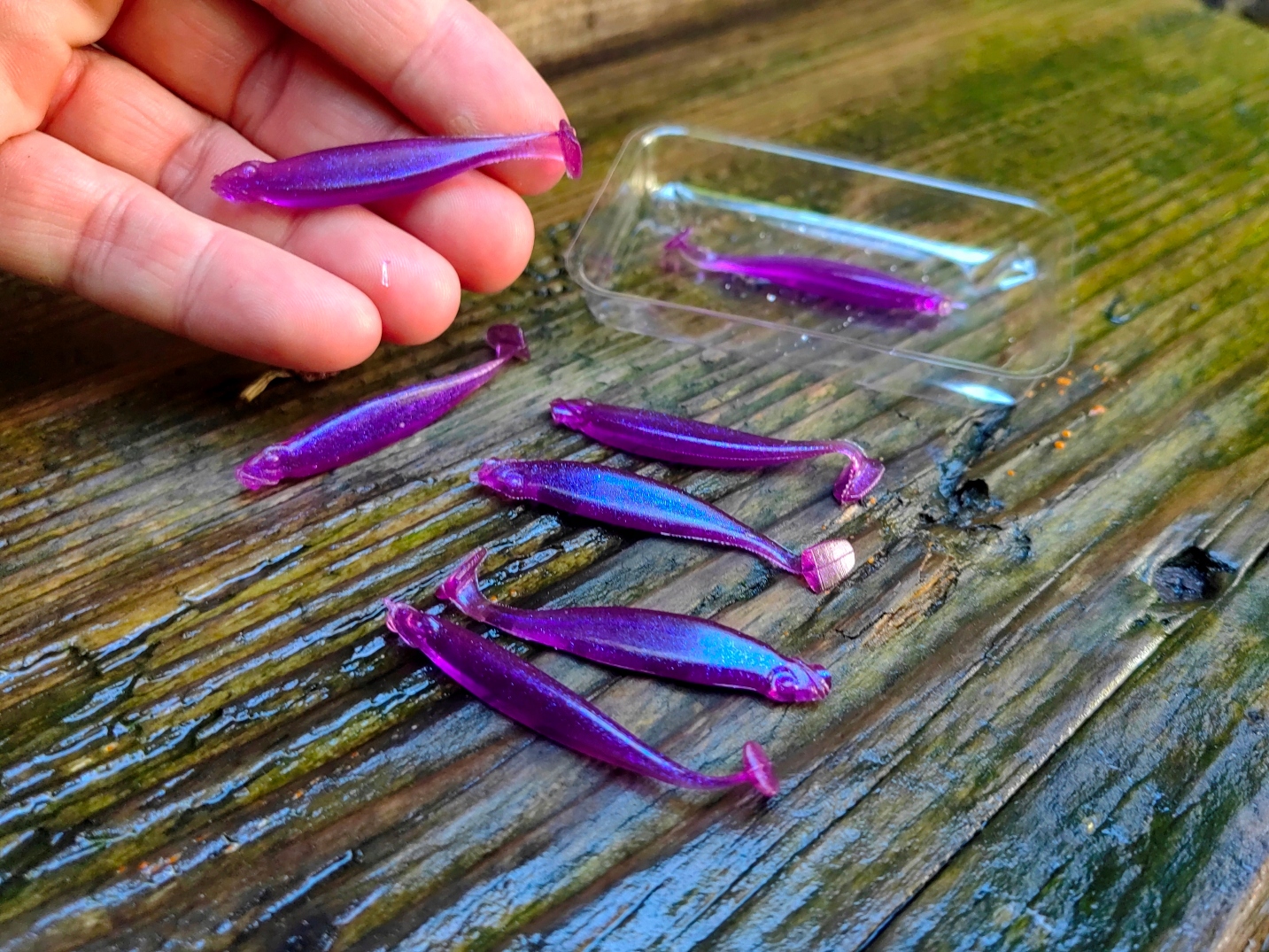 7 szt zapachowe Kopyto 55 mm killer na Okonie #141 Długość (cm) 5.5 cm