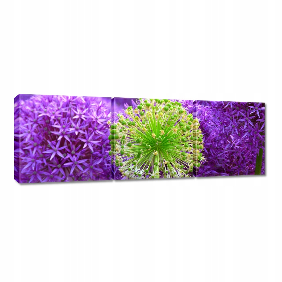 

Obrazy 60x20 Zielony kwiat