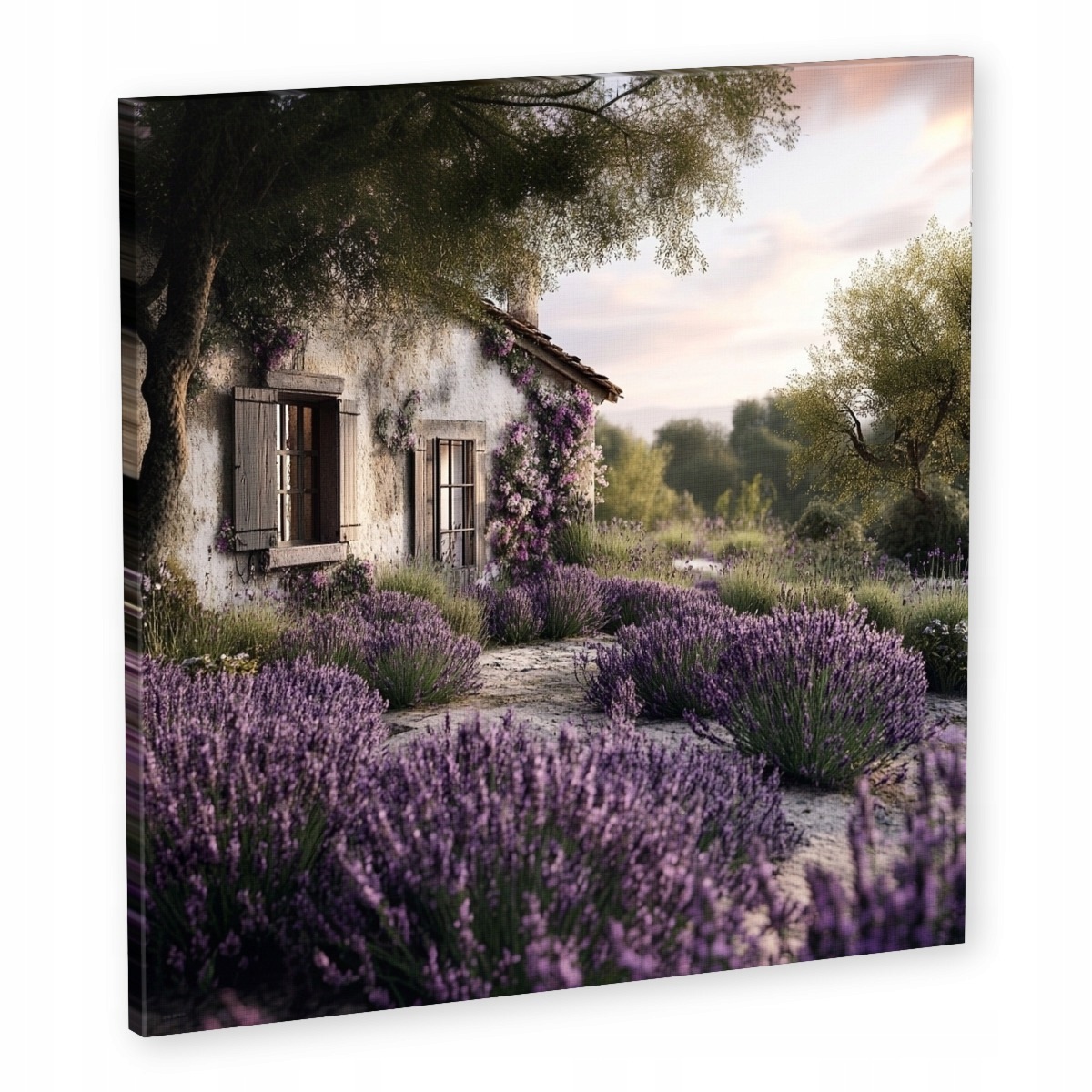 Obraz Na Plátně Canvas Krajina Francie Provence Dům Chatka Levandule 60x60