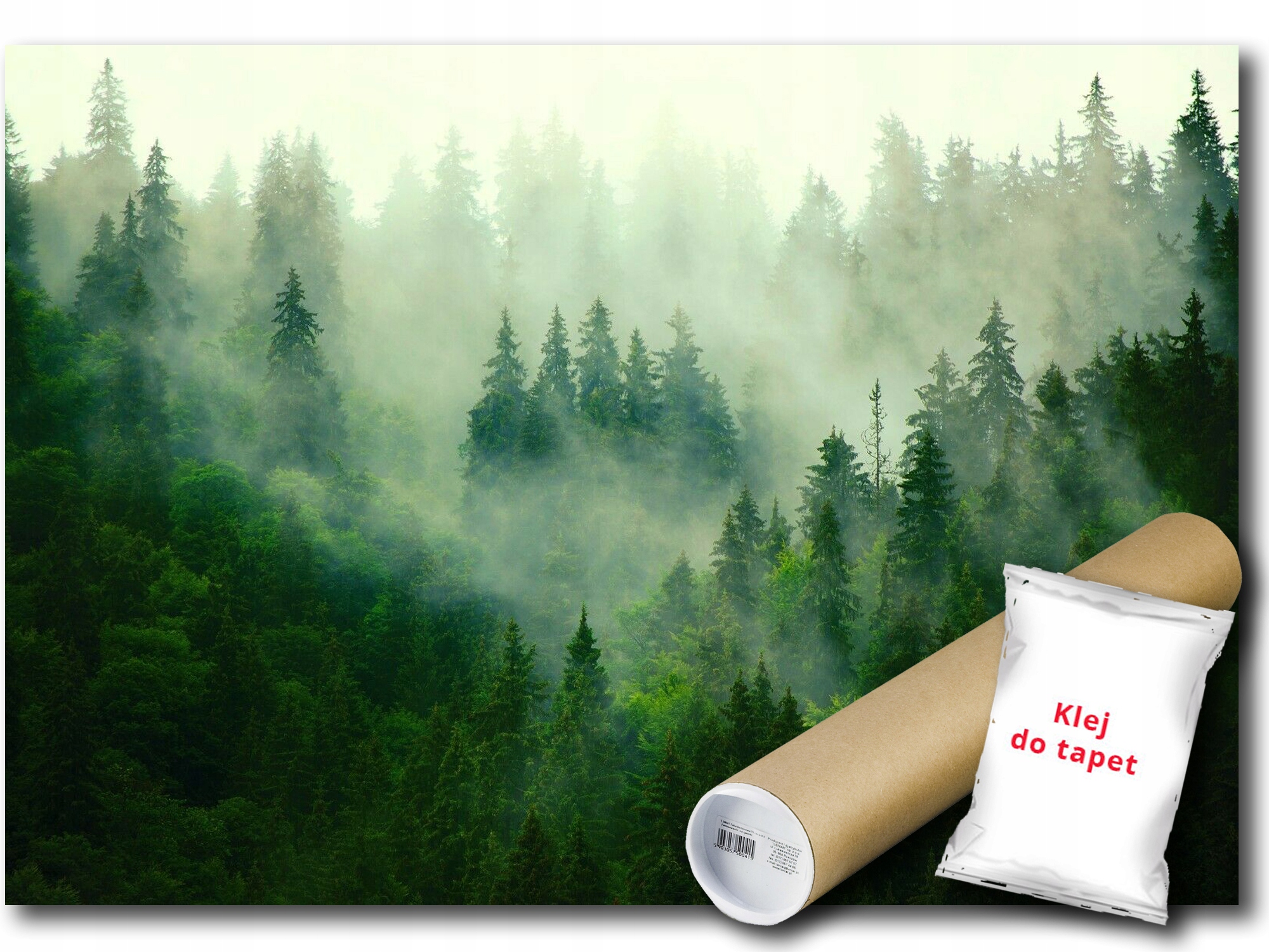 Vinylová Fototapeta Hory Les Hmla Stromy 254x184