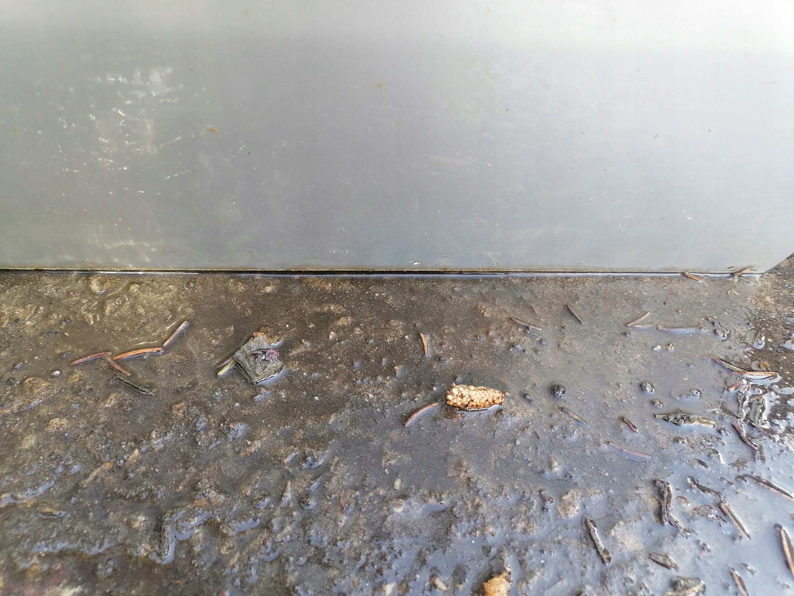 door right front front OPEL VECTRA C Z157