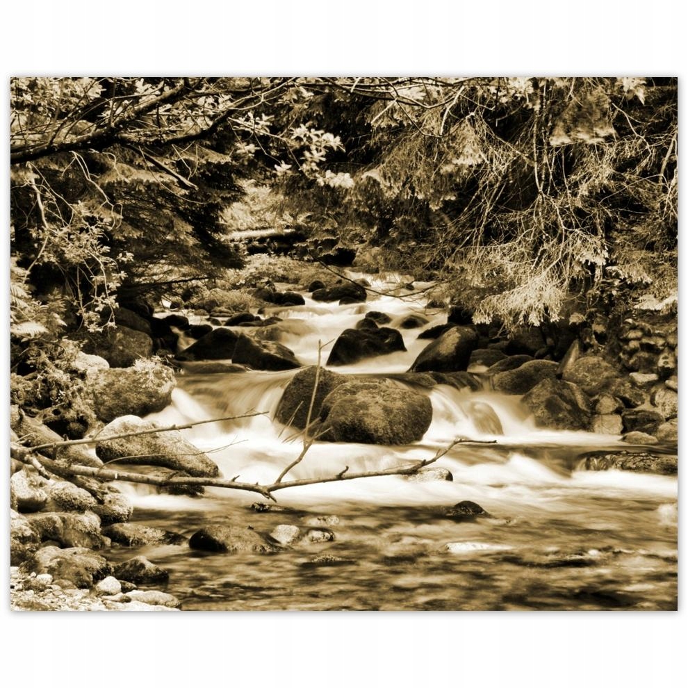 

Plakat 50x40 Tatry Polskie góry Widok