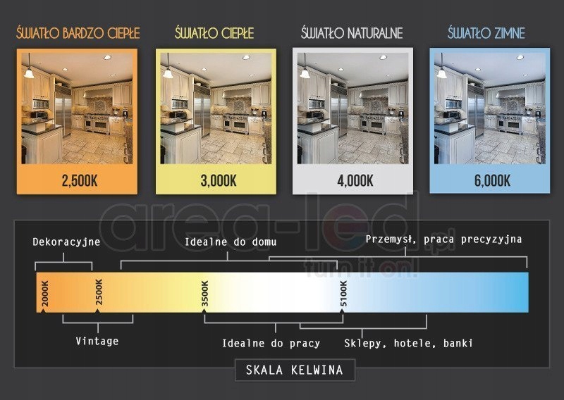 Żarówka vintage Edison LED 1W G45 E27 2300K ciepła Rodzaj LED