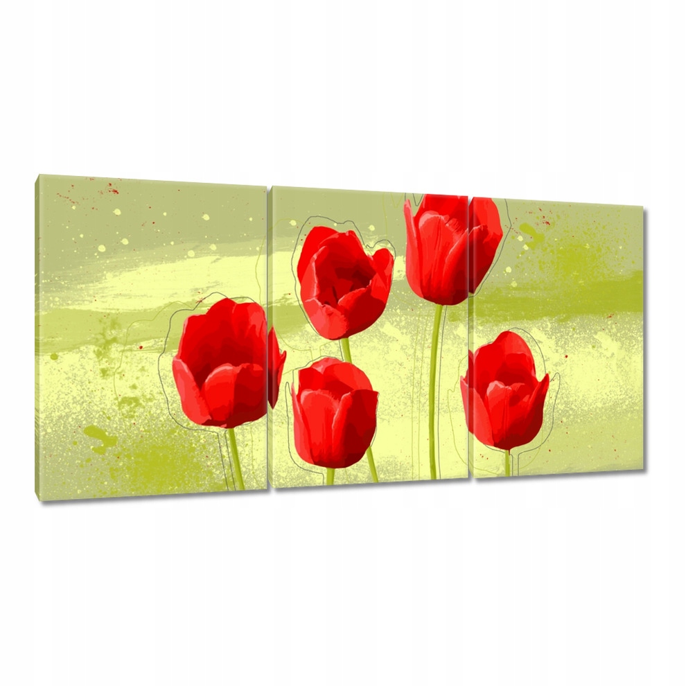 

Obrazy 120x60 Maki Abstrakcja