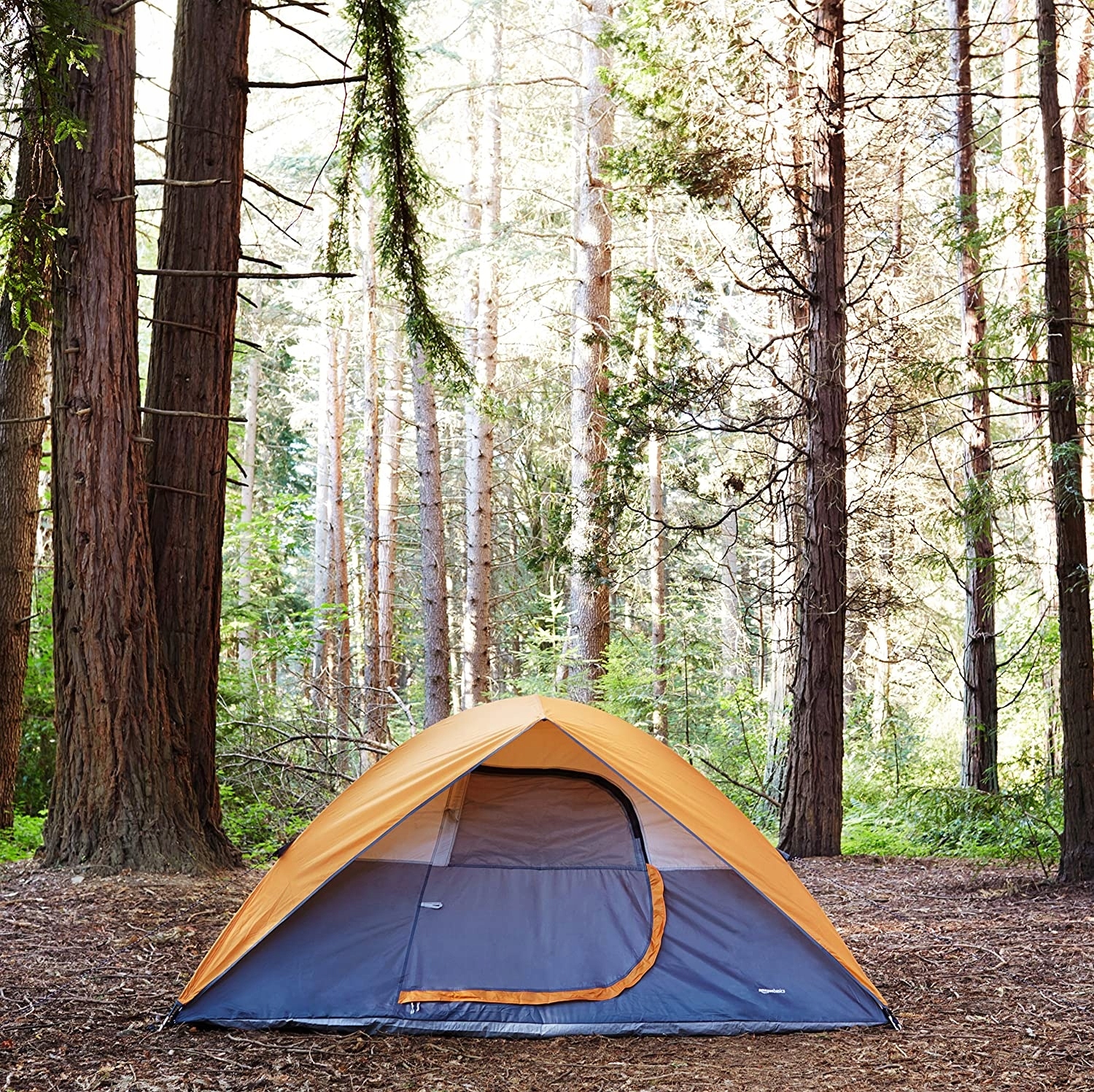 Amazon Basics Tent namiot 4 osobowy