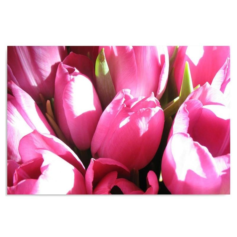 Foto-Obraz Plátno Canvas Růžové tulipány 2 80x60