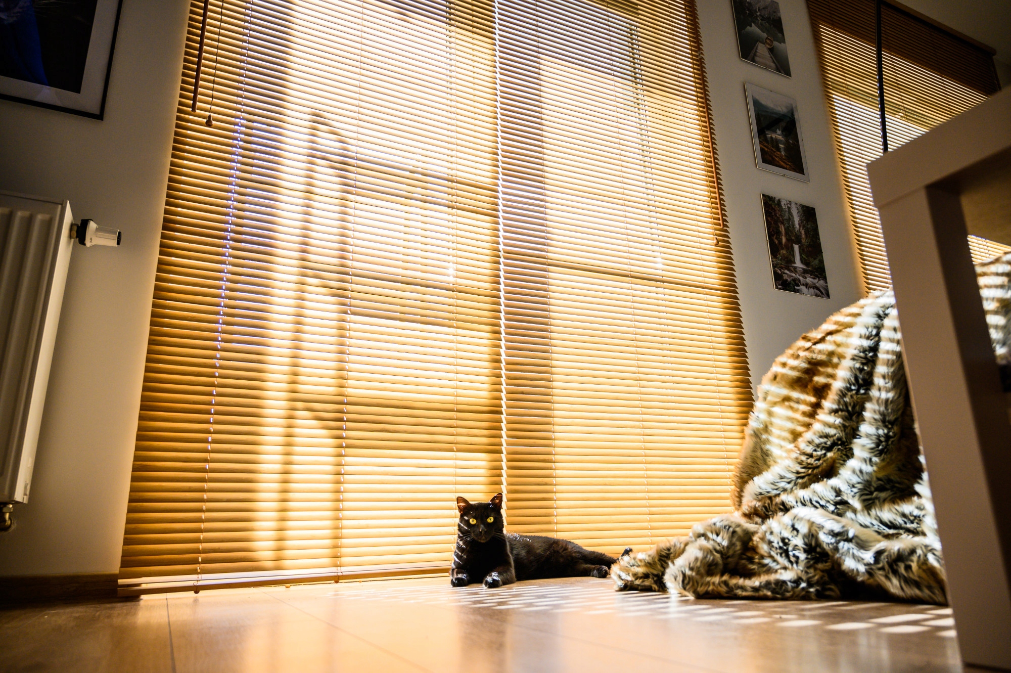 Żaluzje Drewniane na wymiar CLICKY Flip 25mm 90x220cm Marka CLICKY