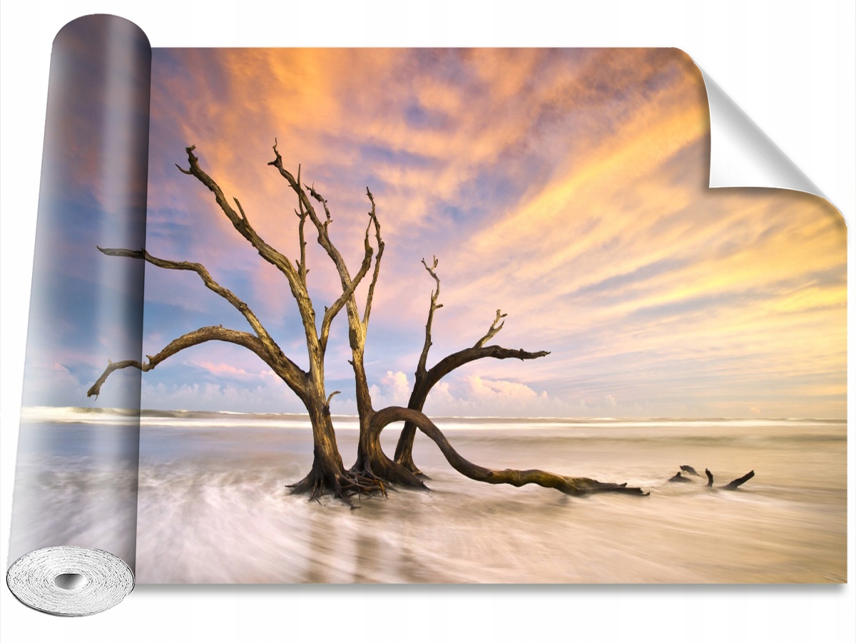 

Tapeta Samoprzylepna Martwe drzewo 416x254