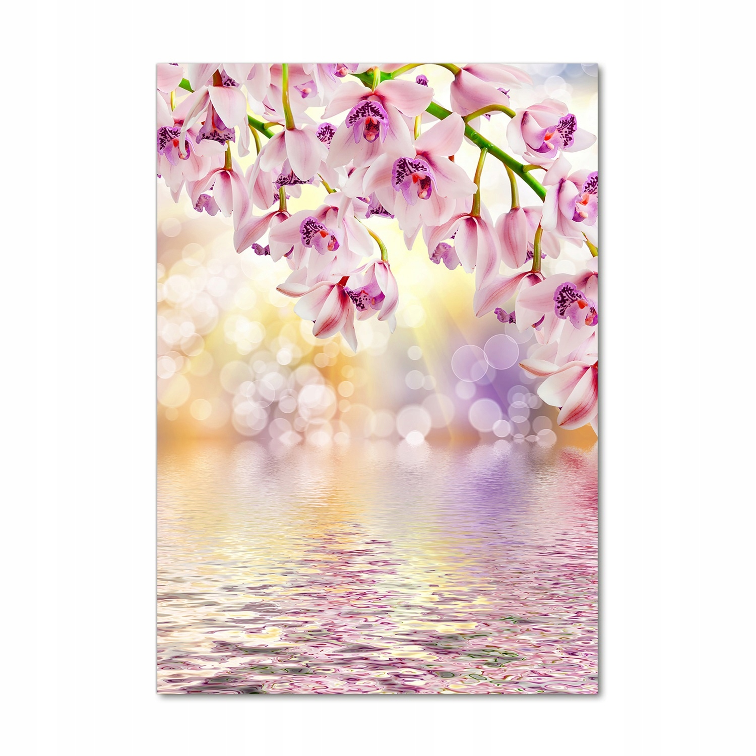 

Foto obraz akrylowy na ścianę Orchidea 70x100 cm