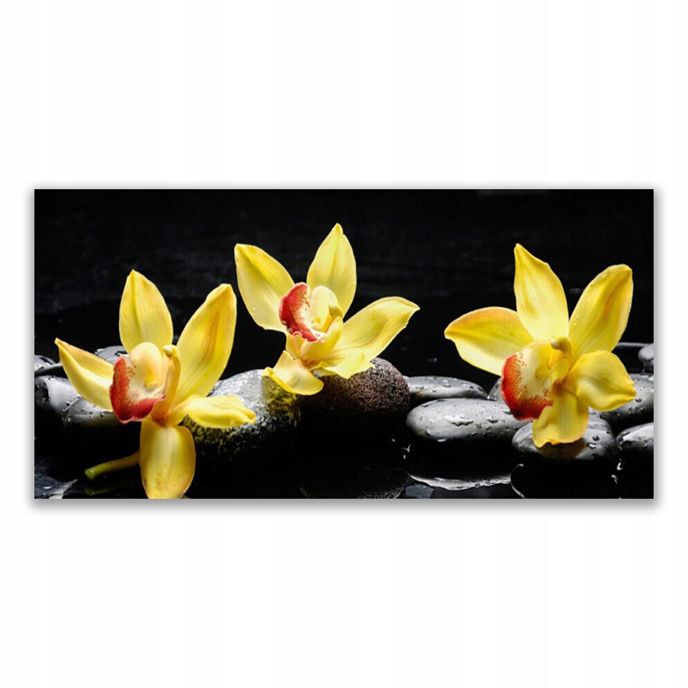 

Obraz akryl ścienny 140x70 Kwiat Orchidea Roślina