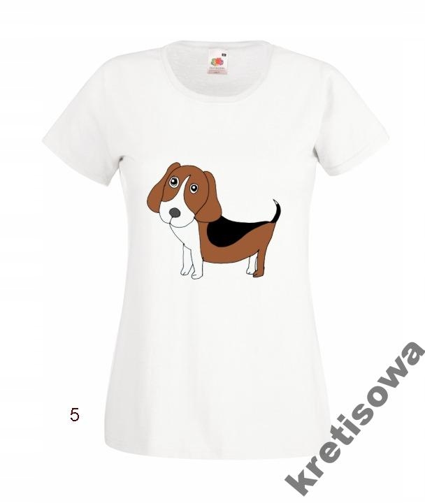

Kolorowe Koszulki Beagle Piesek Wzory Rozmiary