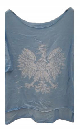 

Tu Kupisz Bluzka Z Orłem Tunika T-shirt Orzeł Kult